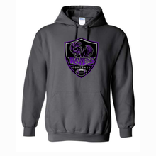 Load image into Gallery viewer, Ravens Unisex fit Hoody YOUTH (NEW DESIGNS 2026)