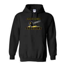 Load image into Gallery viewer, Steelers  Unisex fit Hoody Adult