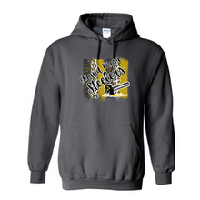 Load image into Gallery viewer, Steelers  Unisex fit Hoody Adult