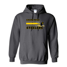 Load image into Gallery viewer, Steelers  Unisex fit Hoody Adult