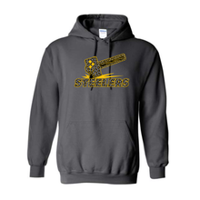 Load image into Gallery viewer, Steelers  Unisex fit Hoody YOUTH (NEW DESIGNS 2026)
